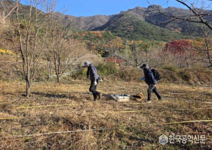 김천 갈항사지 GPR탐사 시범조사 모습 (2025년 11월)